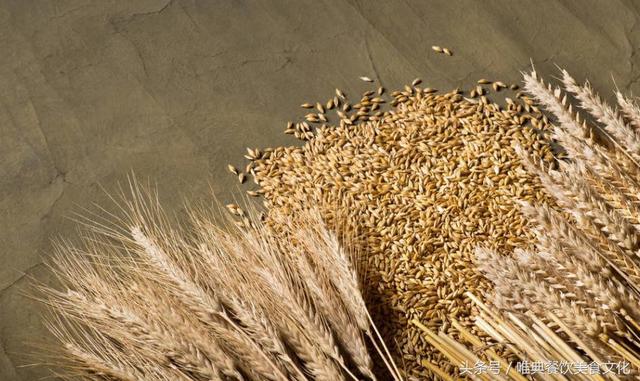 大麦与小麦的主要区别是什么？