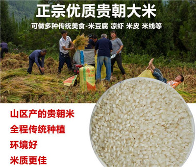 做米皮用的是什么品种的米？主要产区在哪儿？在哪能买到？